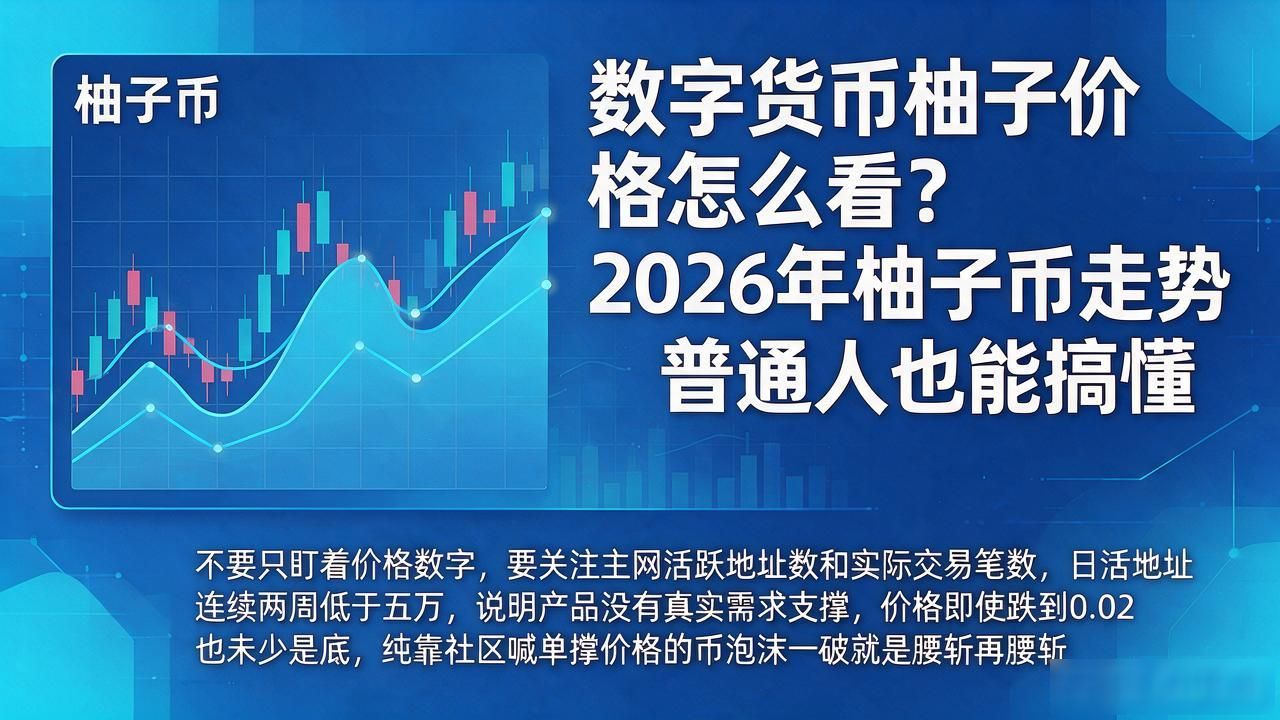 数字货币柚子价格怎么看？2026年柚子币走势普通人也能搞懂